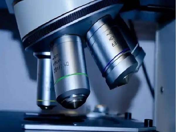 Los científicos quieren diseñar bacterias para la extracción sostenible de tierras raras